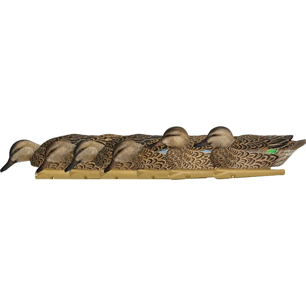 AvianX Top Flight Duck Decoys (Early Season Teal 6 pk.)