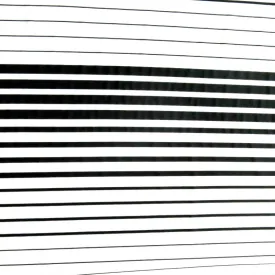 Black Gradient Stripe on White Nylon Spandex Swimsuit Fabric