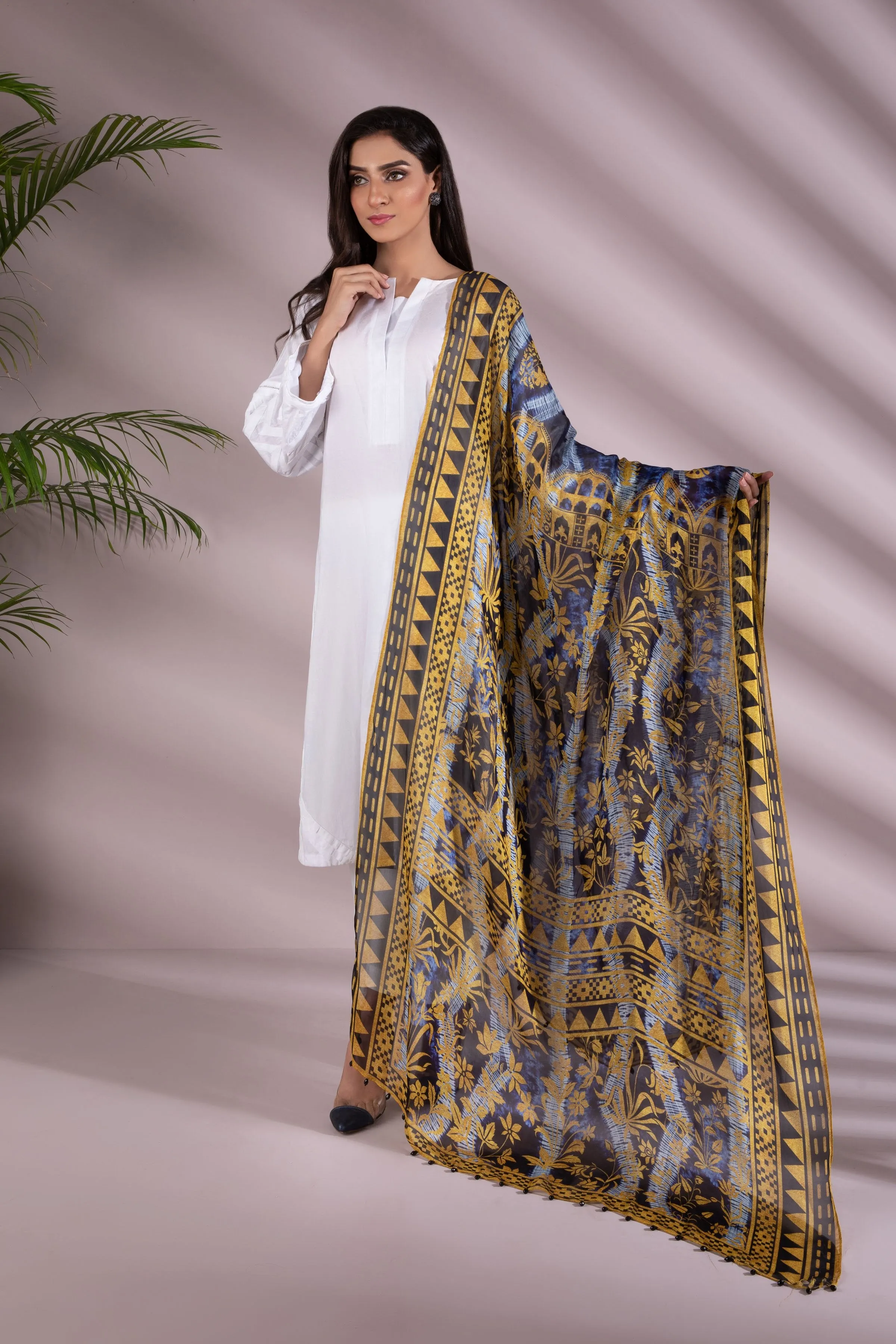 Blogger Blue Dupatta