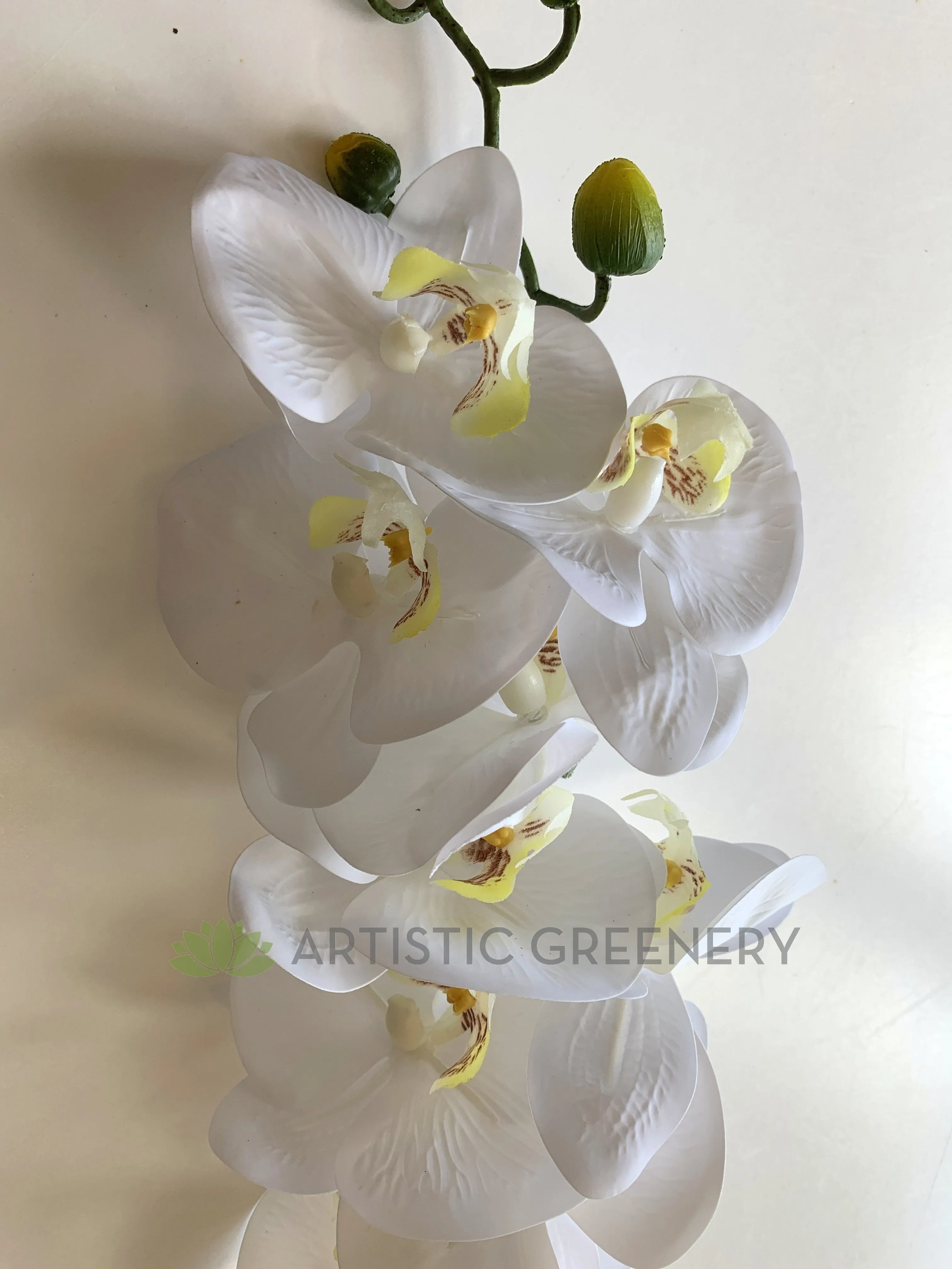 F0034N Phalaenopsis Orchid Spray 91cm Light Green / White / Yellow / Pure White