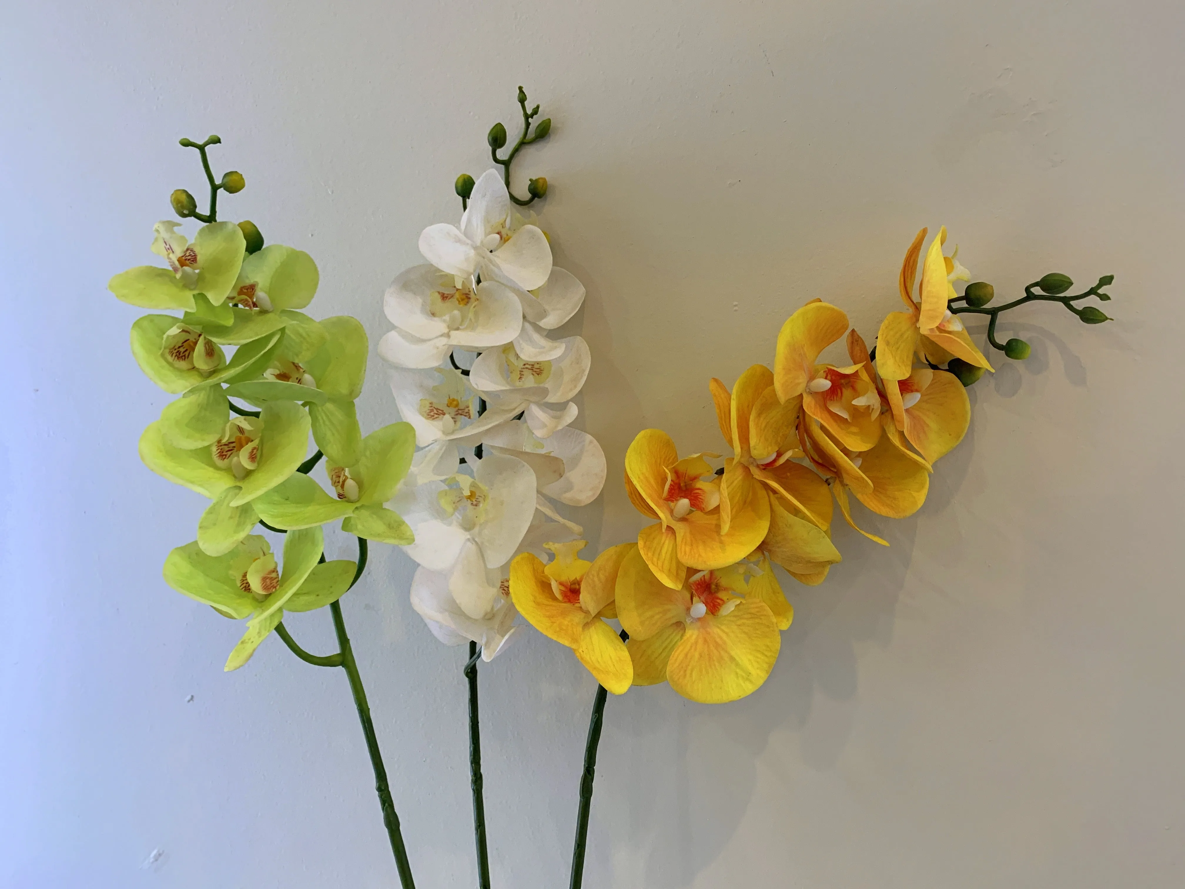 F0034N Phalaenopsis Orchid Spray 91cm Light Green / White / Yellow / Pure White