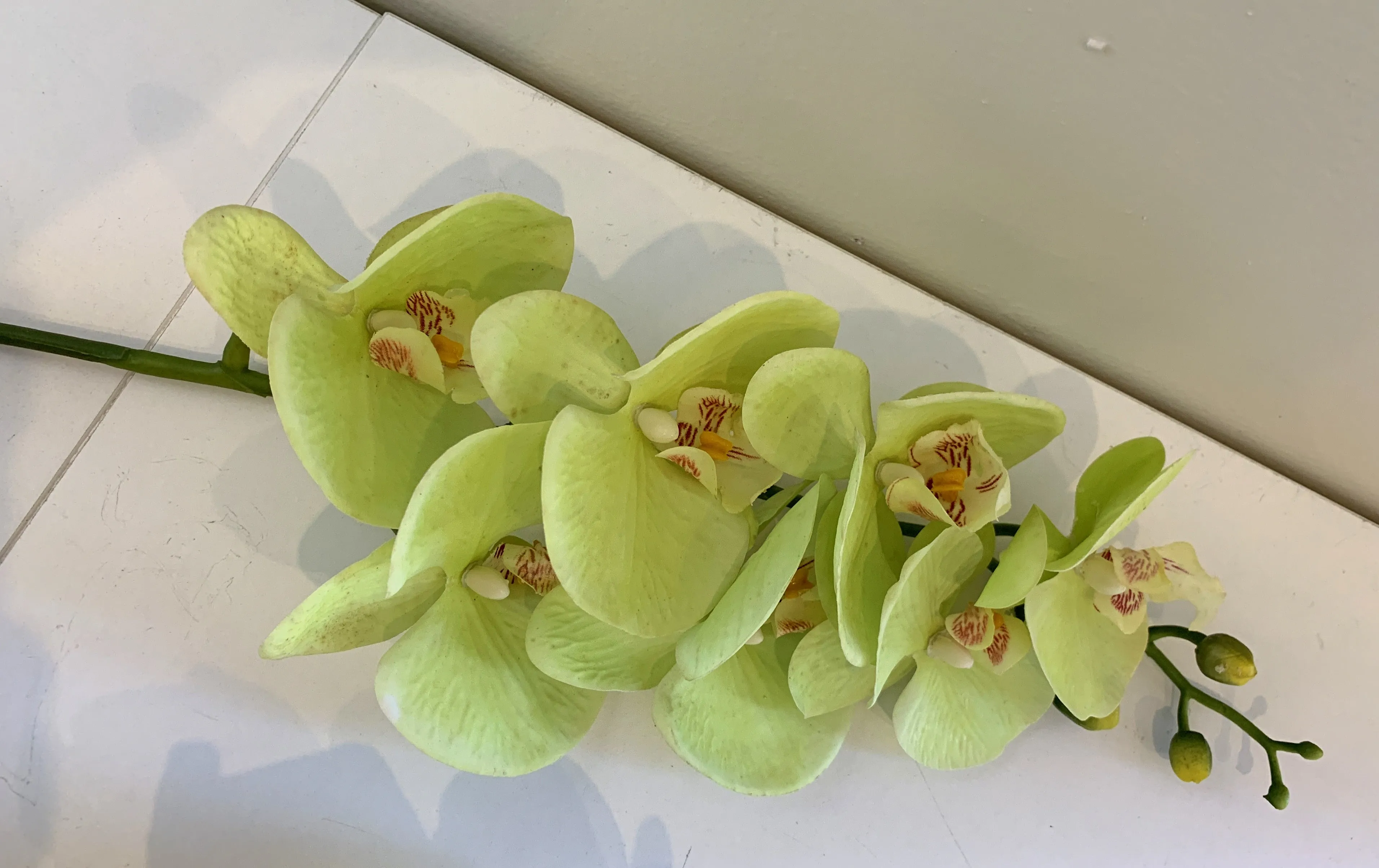 F0034N Phalaenopsis Orchid Spray 91cm Light Green / White / Yellow / Pure White