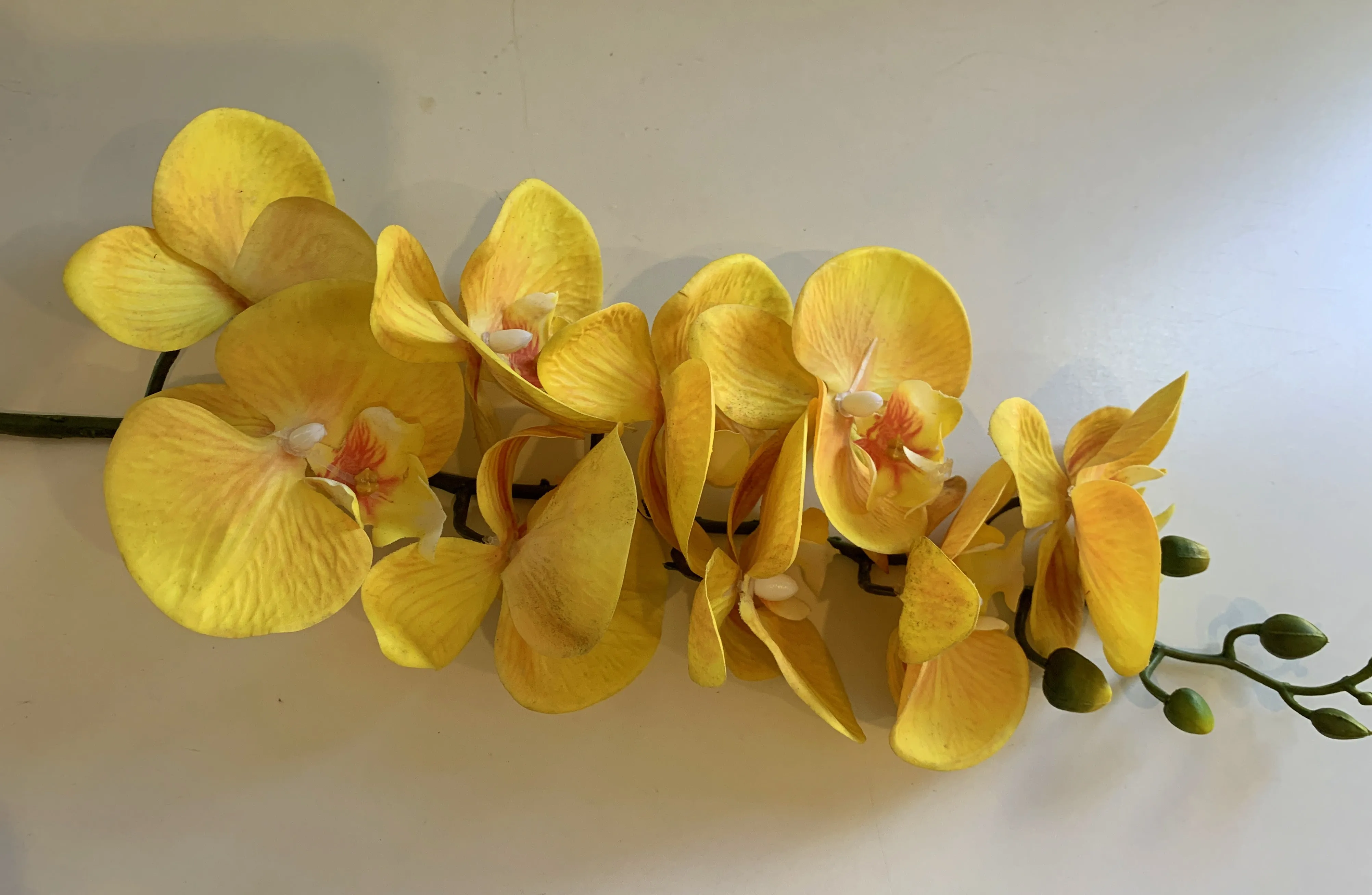 F0034N Phalaenopsis Orchid Spray 91cm Light Green / White / Yellow / Pure White