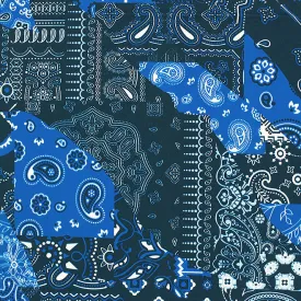 Paisley Patchwork Printed Spandex Fabric | Blue Moon Fabrics