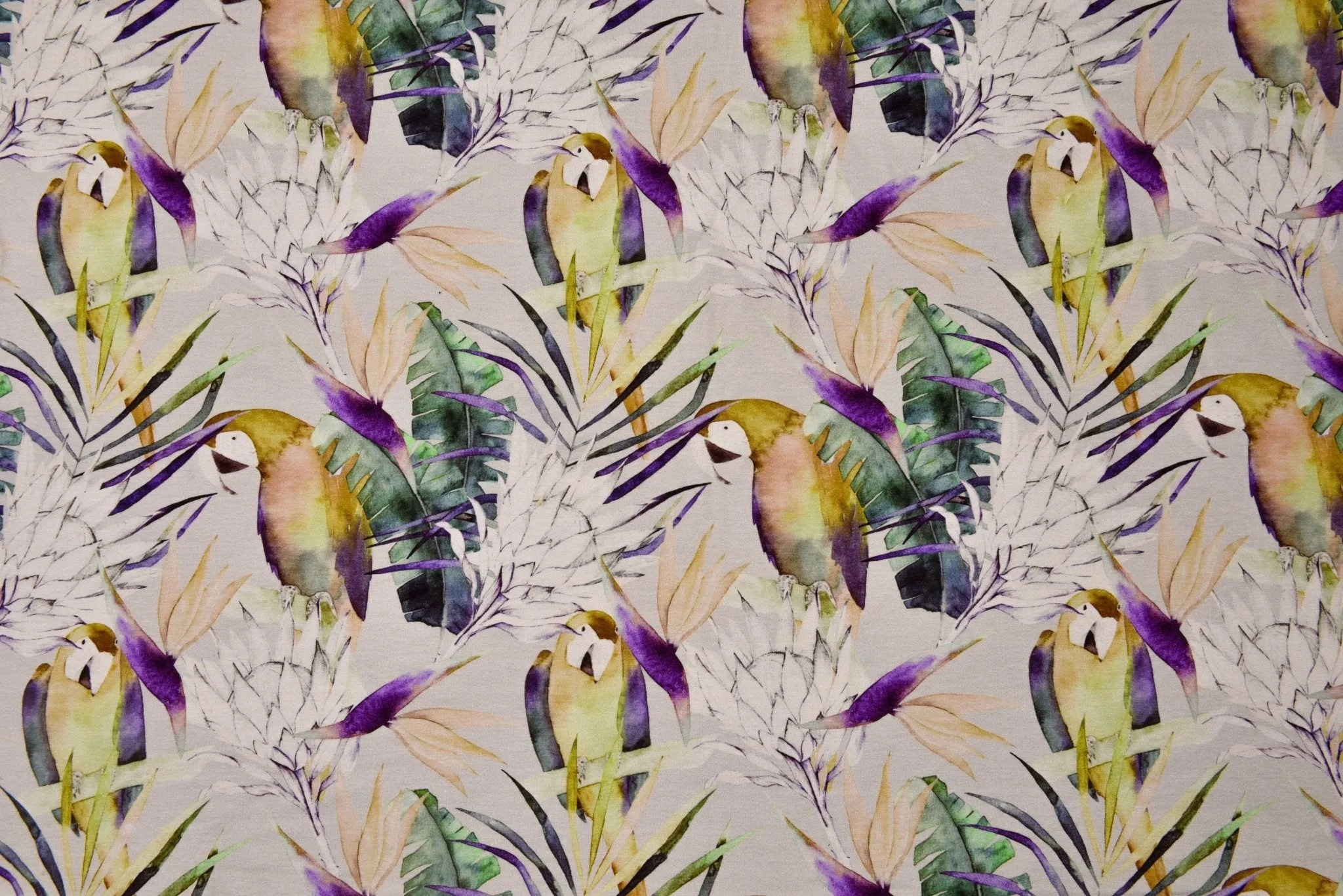 Tropical Parrot- Viscose Spandex Jersey Fabric - 5093