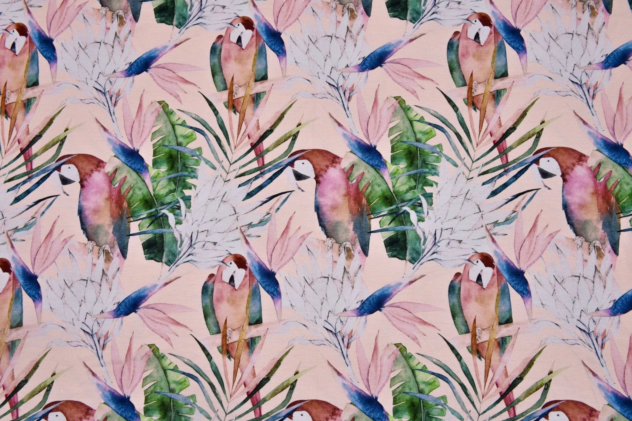 Tropical Parrot- Viscose Spandex Jersey Fabric - 5093