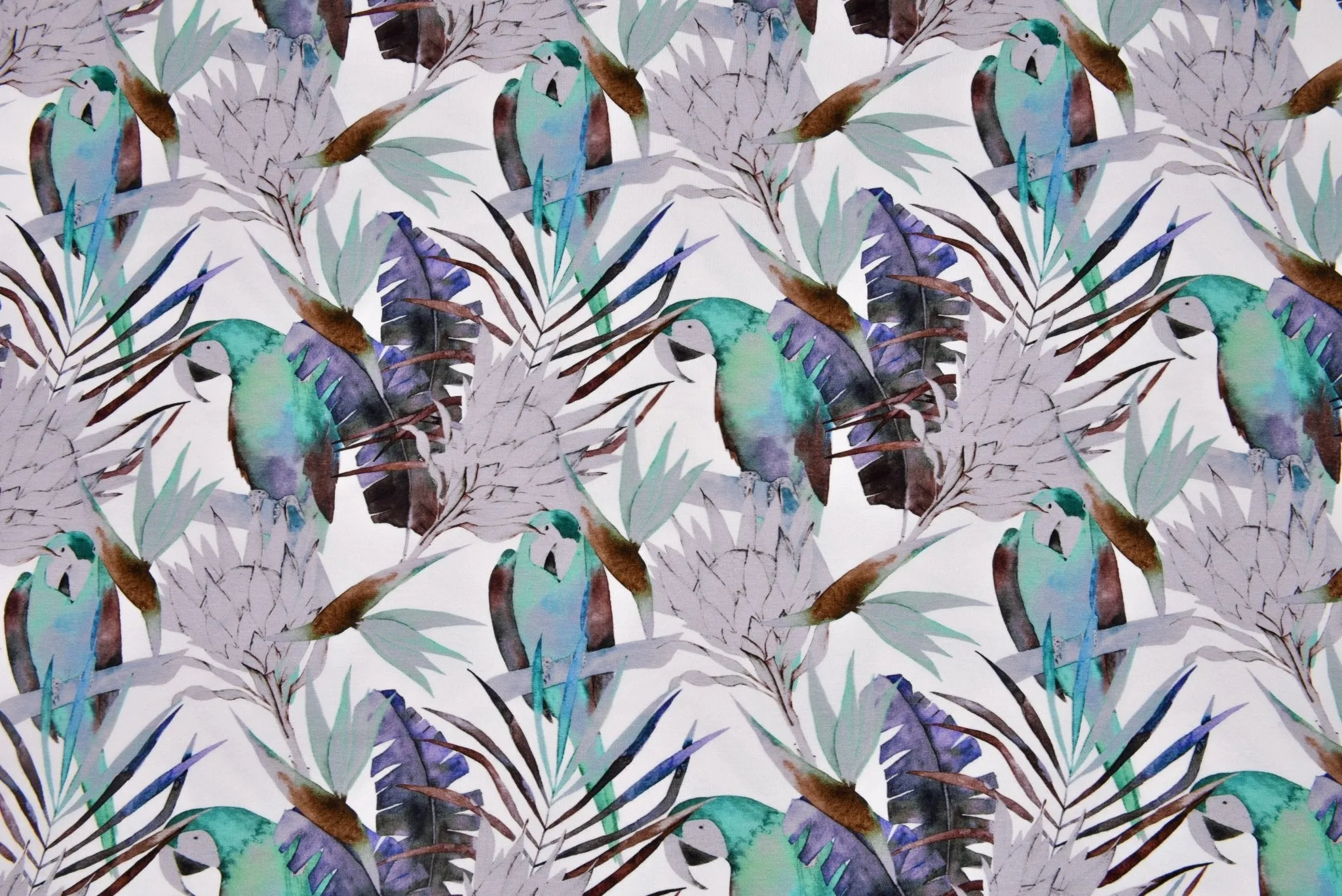 Tropical Parrot- Viscose Spandex Jersey Fabric - 5093